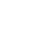 elite about pillar icon team white hq